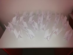 «Белый голубь – символ мира». 